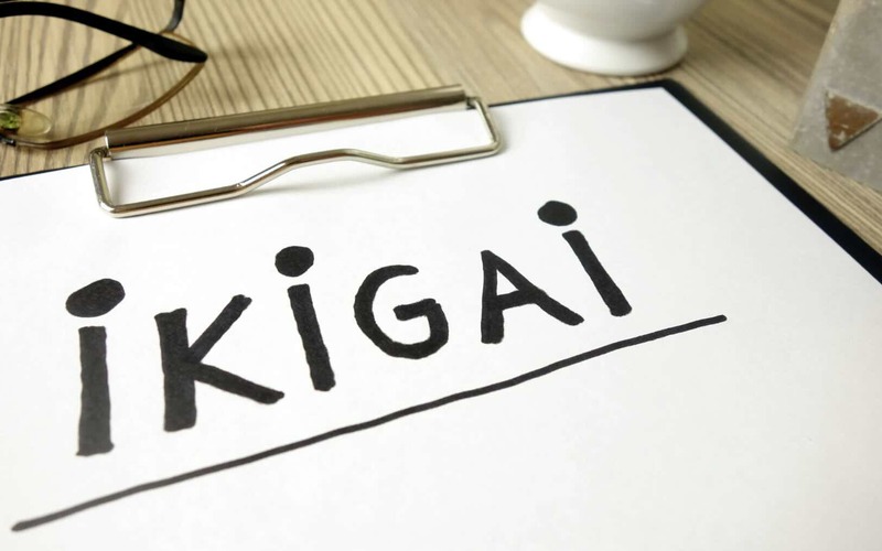 Discover your Ikigai